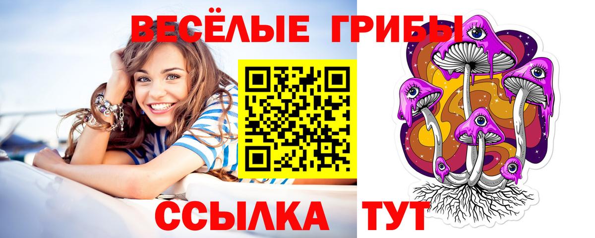 Псилоцибиновые грибы GOLDEN TEACHER  Вход с VPN  купить наркотик  Псилоцибиновые грибы Magic Shrooms  Дербент 