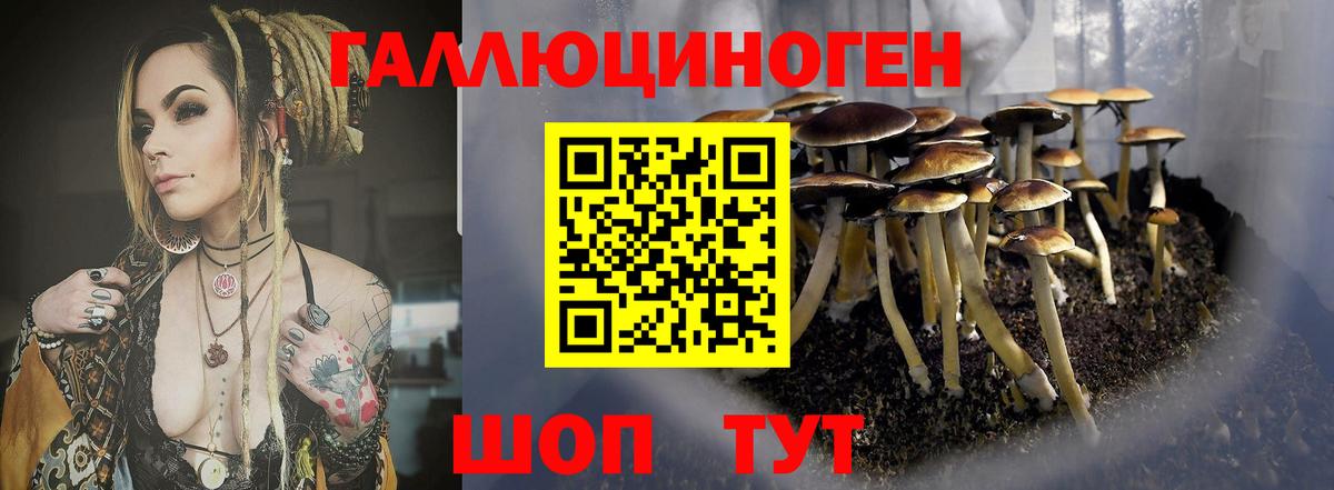 Псилоцибиновые грибы GOLDEN TEACHER Дербент